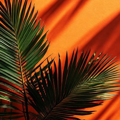 Orange is not a color, is a thousand desicions